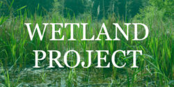 Wetland-Project-promo-image